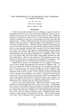 THE PERMEABILITY OF NON-STOMATE LEAF