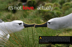 42 43 Albatrosses have become icons of the open ocean and, like