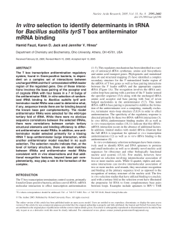 In vitro selection to identify determinants in tRNA