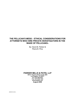 the pellican`s mess &ndash; ethical considerations for
