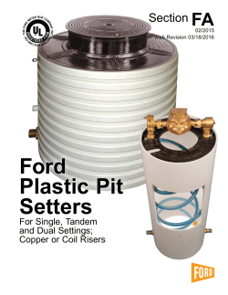Ford Plastic Pit Setters
