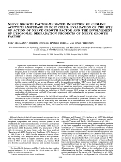 nerve growth factor-mediated induction of choline acetyltransferase