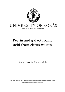 Pectin and galacturonic acid from citrus wastes (PDF