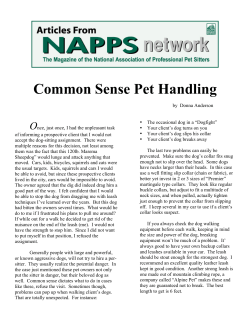 Common Sense Pet Handling