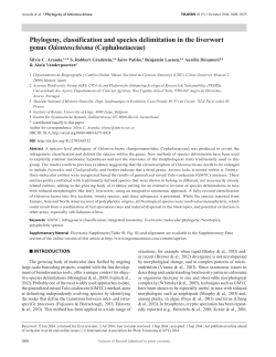 Phylogeny, classification and species delimitation in the liverwort