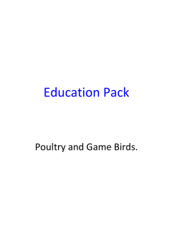 Education Pack