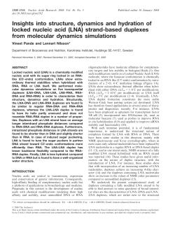 (LNA) strand-based duplexes from molecular dynamics simul