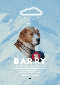 The legendary St Bernard Dog