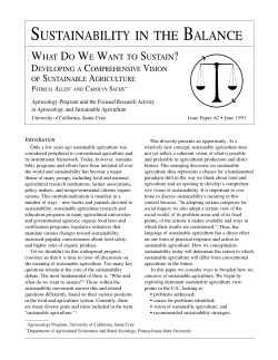 Developing a Comprehensive Vision of Sustainable Agriculture