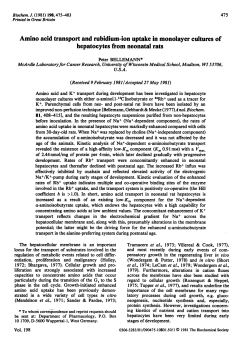 Amino acid transport and rubidium-ion uptake in monolayer cultures