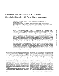 Parameters Affecting the Fusion of Unilamellar Phospholipid
