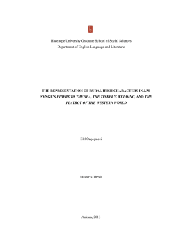 The representation of rural ırish characters in jmsynge`s riders to the
