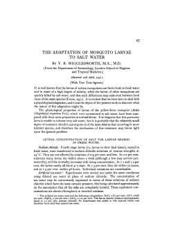 THE ADAPTATION OF MOSQUITO LARVAE TO SALT WATER