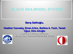 BLACK SEA MODEL SYSTEM