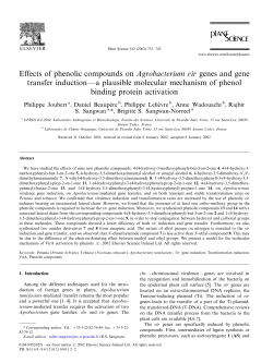 Effects of phenolic compounds on Agrobacterium vir genes and