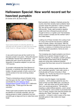 Halloween Special: New world record set for heaviest pumpkin