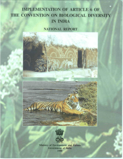 CBD First National Report - India