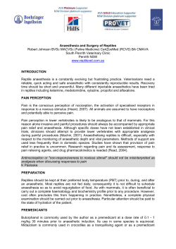 Antinociception or "non-responsiveness to noxious stimuli"