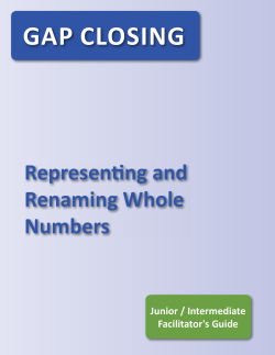 Gap Closing J/I Facilitator`s Guide