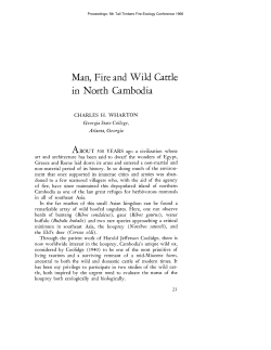 Man, Fire and Wild Cattle in North Cambodia