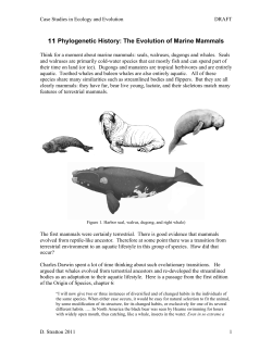 11 Phylogenetic History: The Evolution of Marine Mammals