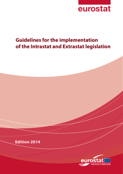 Guidelines for the implementation of the Intrastat and