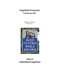 Cognitive Processes Part 2: Individual Cognition
