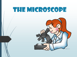 The Microscope
