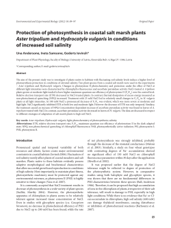 Protection of photosynthesis in coastal salt marsh plants Aster
