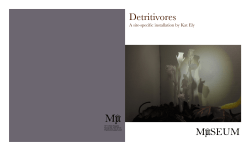 Detritivores