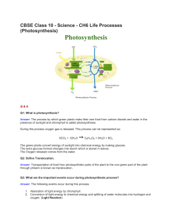 Photosynthesis