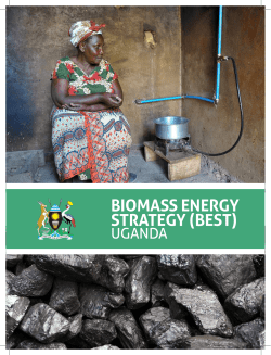 biomass energy strategy (best)