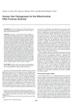 Human hair histogenesis for the mitochondrial DNA forensic scientist