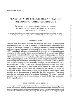 plasticity in speech organization following commissurotomy