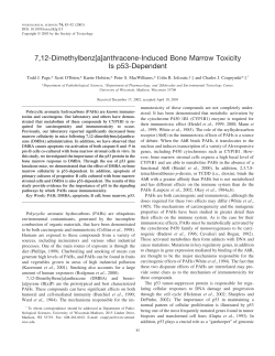 7,12-Dimethylbenz[a]anthracene-Induced Bone Marrow Toxicity Is