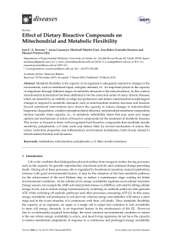 Full-Text PDF