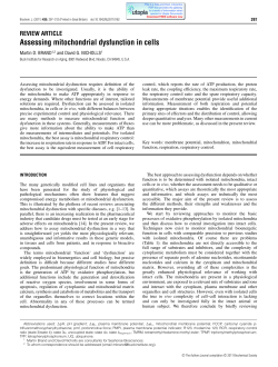 Assessing mitochondrial dysfunction in cells