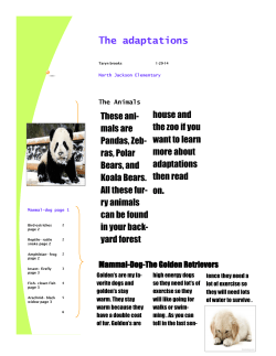 The adaptations