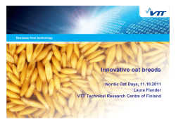 Innovative oat breads