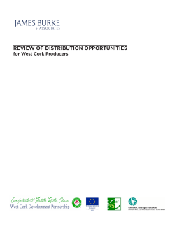 REVIEW OF DISTRIBUTION OPPORTUNITIES