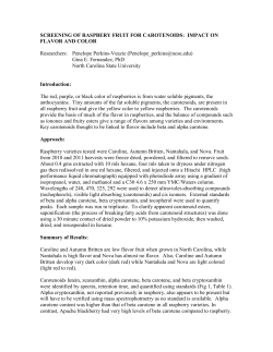 Screening of Raspberry Fruit for Carotenoids Impact on Flavor and