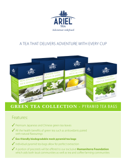 GREEN TEA COLLECTION - PYRAMID TEA BAGS Features:
