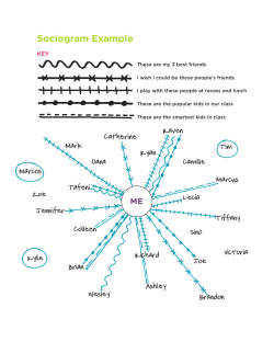 Sociogram Example