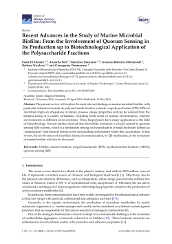 Recent Advances in the Study of Marine Microbial Biofilm