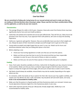 Cow Fact Sheet - Catskill Animal Sanctuary