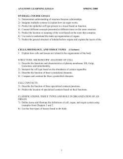 Anatomy Learning Goals