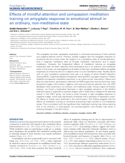 Effects of mindful-attention and compassion meditation