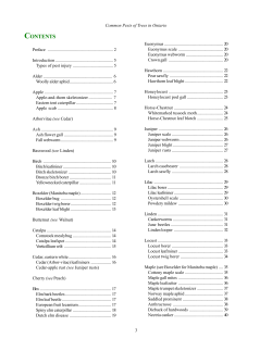 Common Pests of Trees in Ontario