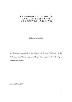 Philippa Hidden_MSc_Thermoregulation in African elephants