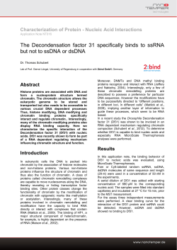 The Decondensation factor 31 specifically binds to ssRNA but not to